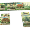 Forest Shuffle | Tableau Building Forest Theme Card Game | 2-5 Players | Ages 10+ | 40 - 75 Mins Playtime (Rent)