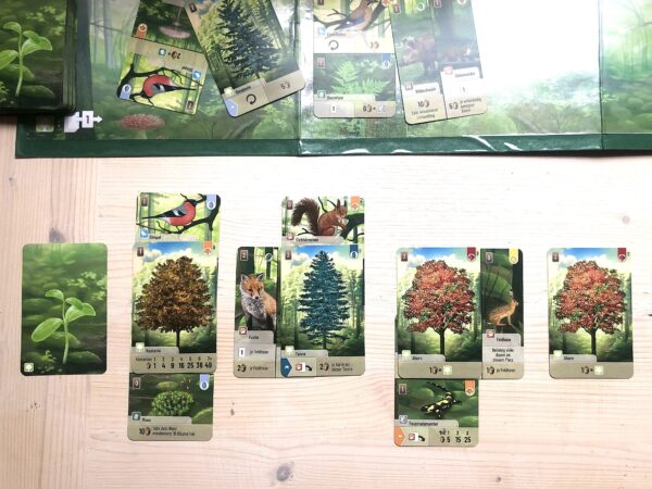 Forest Shuffle | Tableau Building Forest Theme Card Game | 2-5 Players | Ages 10+ | 40 - 75 Mins Playtime (Rent)