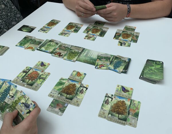 Forest Shuffle | Tableau Building Forest Theme Card Game | 2-5 Players | Ages 10+ | 40 - 75 Mins Playtime (Rent)