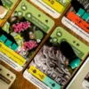 Earth3 Earth | Engine-Building & Tableau Creation Nature-Themed Strategy Board Game | 1–5 Players | Ages 13+ | 60–120 Min Playtime (Rent)