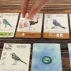 Wingspan Pocket | Pocket Sized Bird Collection & Engine-Building Strategy Card Game for Nature Lovers | 1–5 Players | Ages 8+ | 25–35 Min Playtime (Rent)